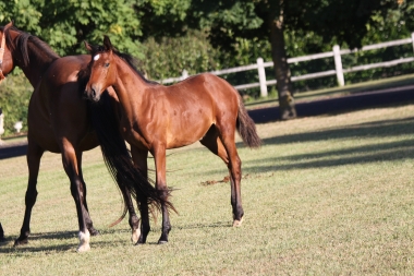 Diorella &agrave; 4 mois