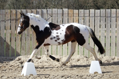 <b>James Bond &agrave; 4 ans, 2023</b>     