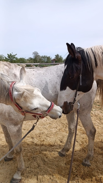 <b>H&eacute;lios, 6 ans, avril 2023</b>        