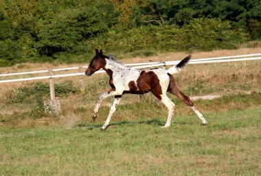 Vision &agrave; 2 mois