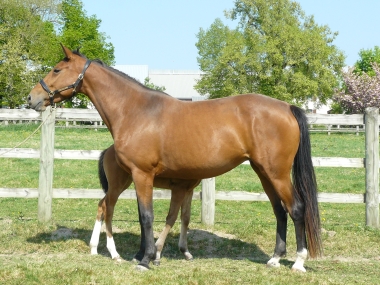 Quinta de Pontli&egrave;re SF