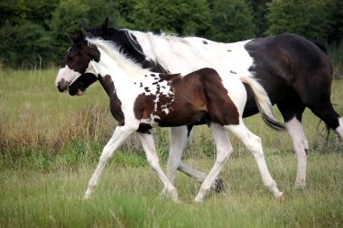 H&eacute;lios, 14 et 16 Ao&ucirc;t 2017