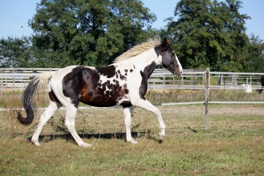 <b>H&eacute;lios, 4 ans, octobre 2021</b>                                                