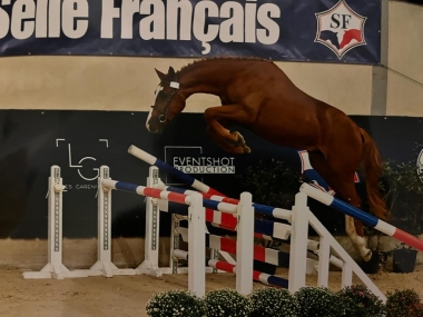 LORIOT D'AGENAIS SFA