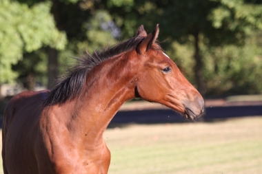 Diorella &agrave; 4 mois