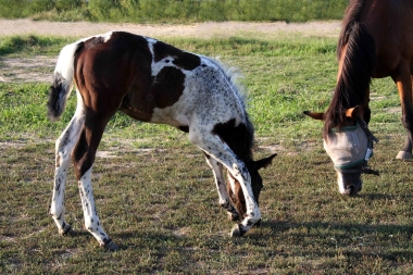 Vision &agrave; 2 mois