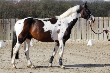 <b>James Bond &agrave; 4 ans, 2023</b>     