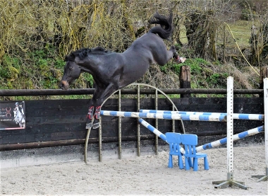 <b>Usandro </b>            Coll. Priv&eacute; Le Guen