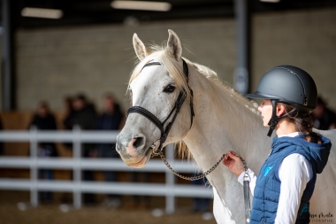 Wallon du Cizeros DSA