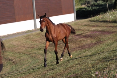 Diorella &agrave; 4 mois
