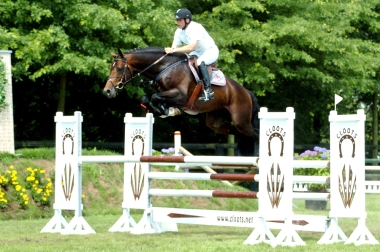 Cartier vd Heffinck &agrave; 4ans Photo be.galop