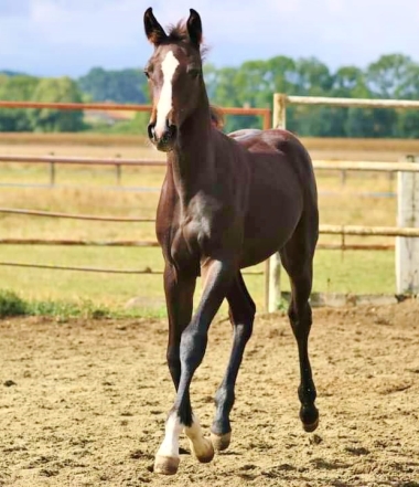 <b> photo priv&eacute;</b>                 