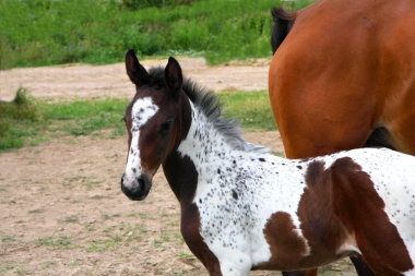 Vision 2009, naissance &agrave; 3 semaines