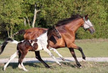 Vision &agrave; 2 mois