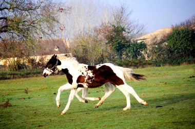 H&eacute;lios bient&ocirc;t 8 mois, D&eacute;cembre 2017