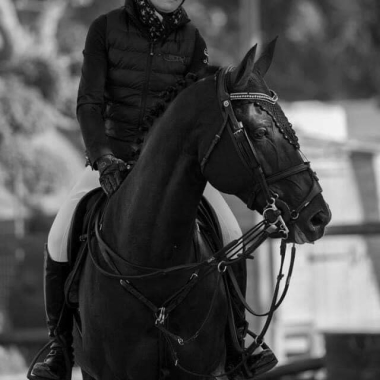 <b>Rolf  photo priv&eacute; Gastaldi</b>                 