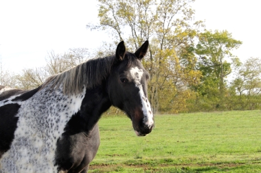 Vision D&eacute;cembre 2015 et en 2016