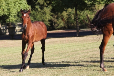 Diorella &agrave; 4 mois