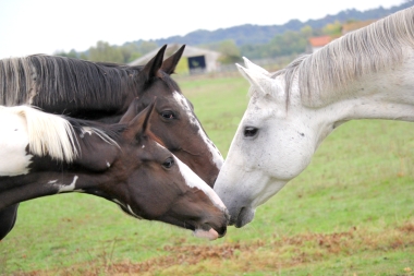 Vision D&eacute;cembre 2015 et en 2016