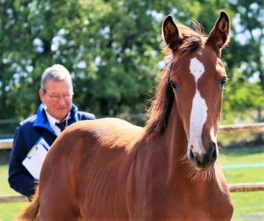 <b>photo priv&eacute;</b>                 