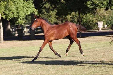 Diorella &agrave; 4 mois