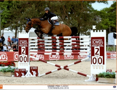 saga de pl&eacute;ville SF