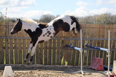 <b>James Bond &agrave; 4 ans, 2023</b>     