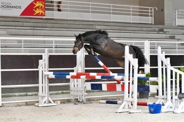 <b>Inside de Cisai</b>            Coll priv&eacute; 