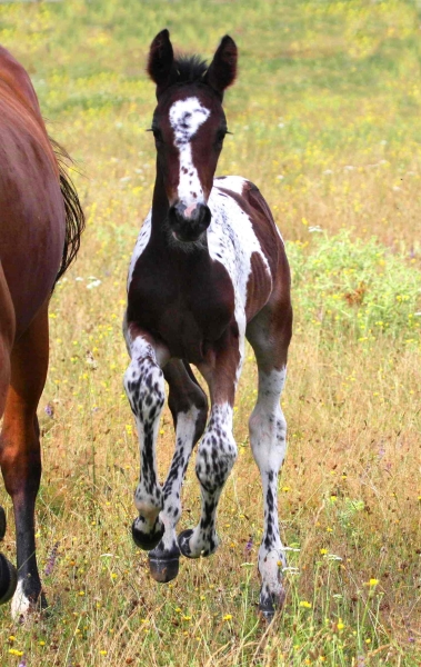 Vision 2009, naissance &agrave; 3 semaines