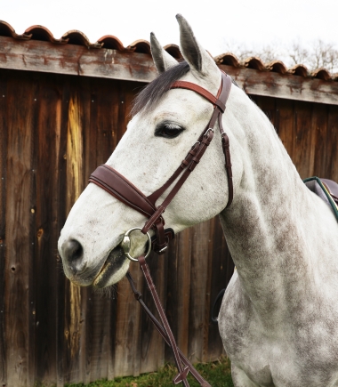 Fatalmadness du M&eacute;doc SF