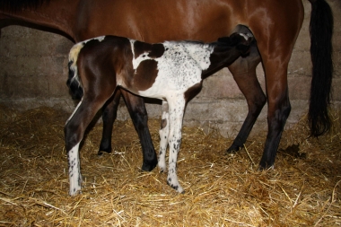 Vision 2009, naissance &agrave; 3 semaines