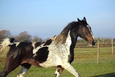 Vision D&eacute;cembre 2015 et en 2016