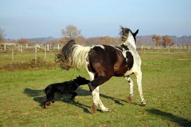 Vision D&eacute;cembre 2015 et en 2016