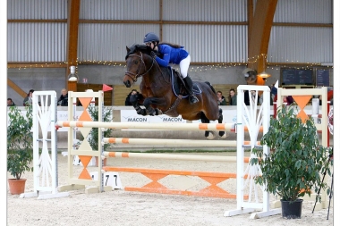 <b>Calgary Der Lenn par Usandro</b>            Coll priv&eacute; 